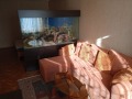 Дава под наем  2-стаен град София , Център , 45 кв.м | 92561709