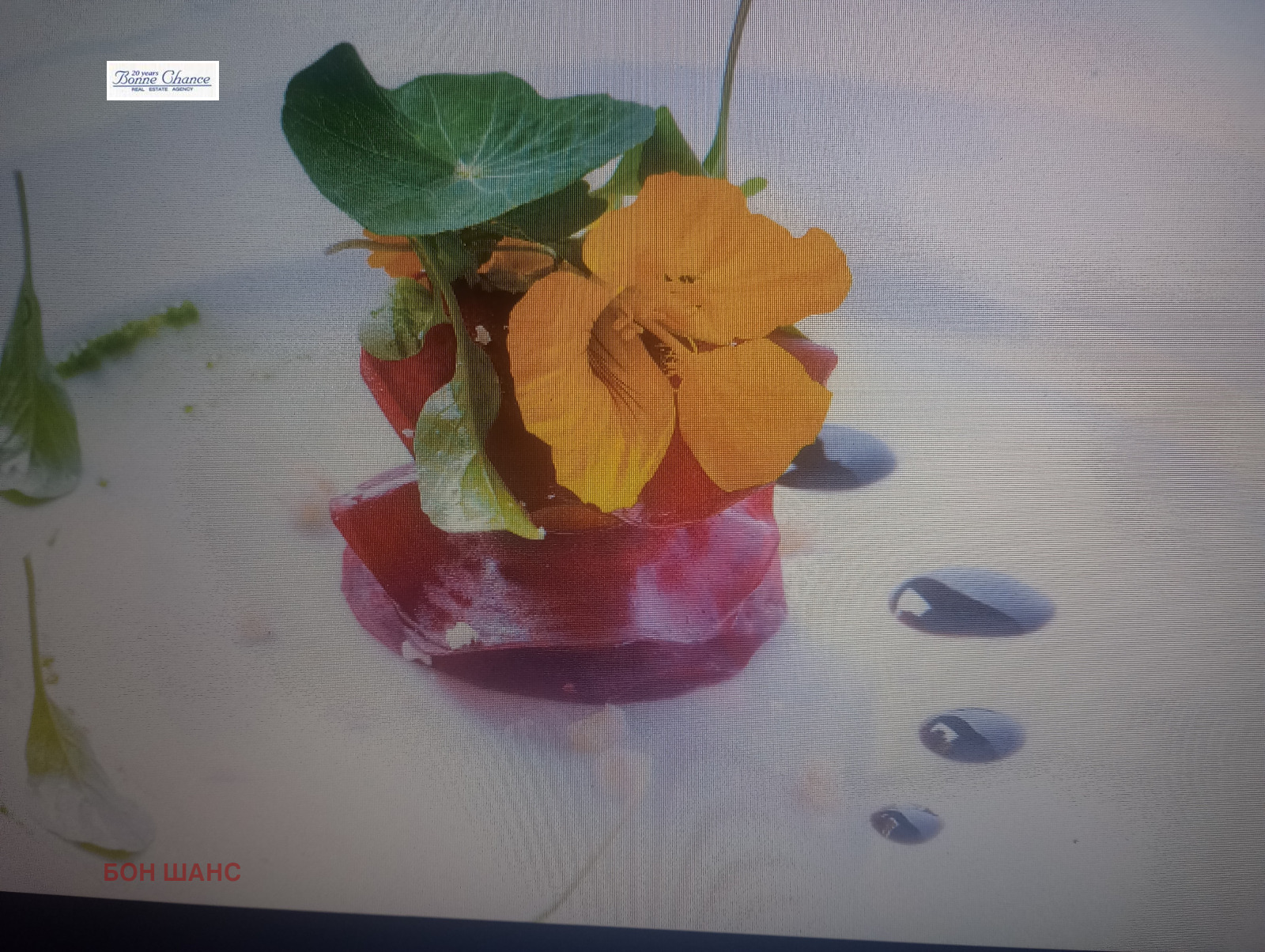 ���� ��� ���� ��������� | Imot.bg � ����������� 3