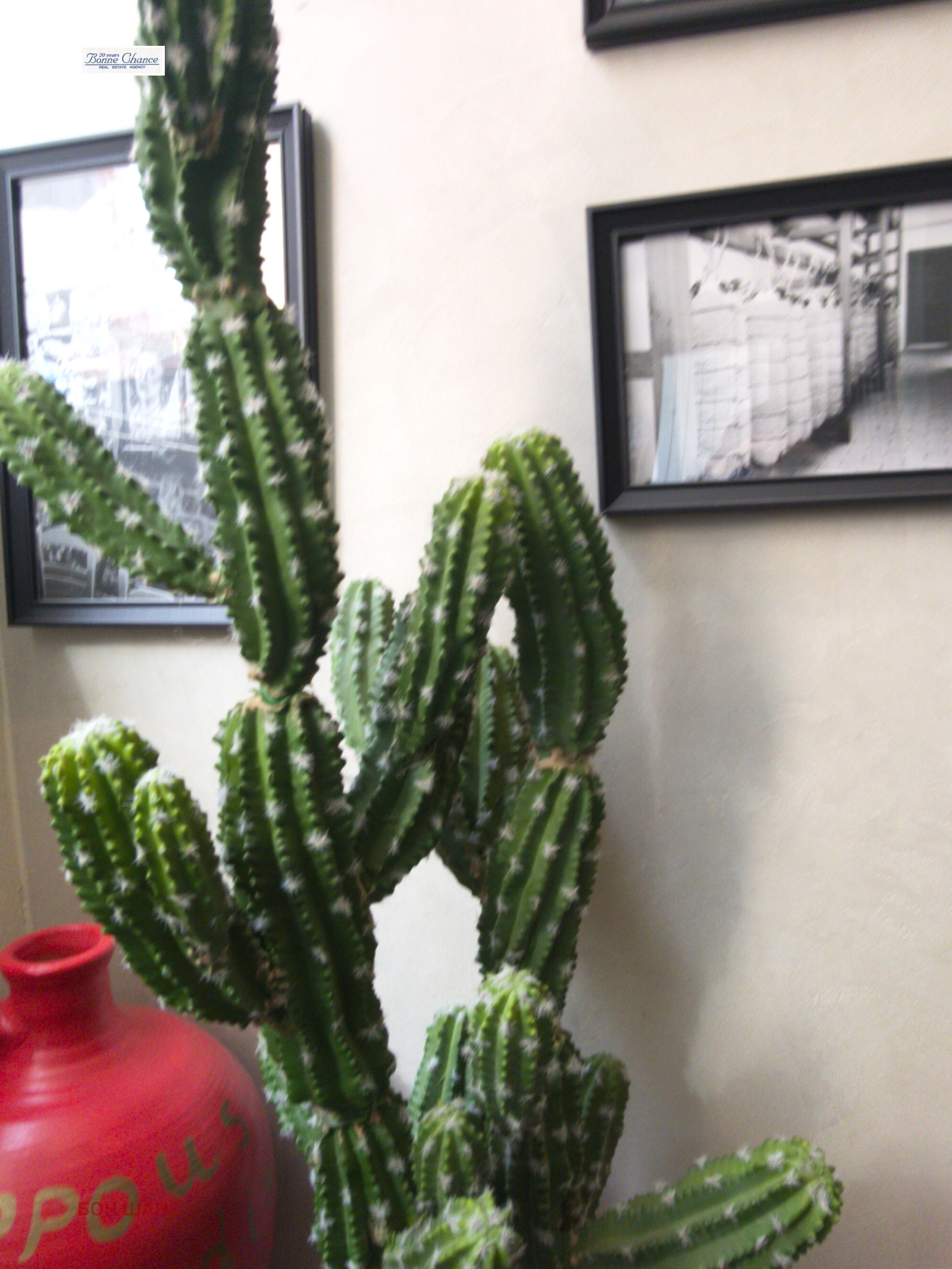 ���� ��� ���� ��������� | Imot.bg � ����������� 2