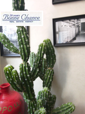 ���� ��� ���� ��������� | Imot.bg � ����� ������ 2