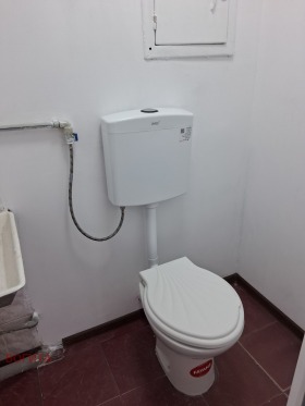 ����� ���� ��� ���� �������,���� ����� ������, ������