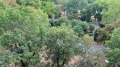 Под наем 2-СТАЕН, град София, Банишора • 1390 лв. • 91418627 — Holmes.bg