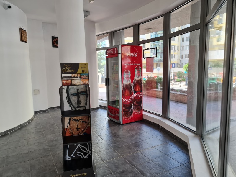 Til leje  Butik Sofia , Manastirski livadi , 100 kvm | 69505919 - billede [10]