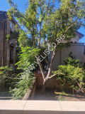 Под наем 2-СТАЕН, град София, Център • 900 € • 89626045 — Holmes.bg
