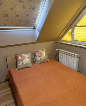 ����� ���� ��� ���� 3-�����,���� �����, ������� 1>