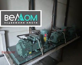 ����� ���� ��� ���� �����,���� �����, ������� ���������� ����>