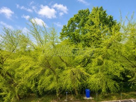 ���� ��� ���� 1-����� | Imot.bg � ����� ������ 13