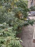 Под наем ГАРАЖ, ПАРКОМЯСТО, град София, Център • 50 € / 97.79 лв. • 79225303 2