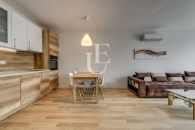 1 Schlafzimmer Manastirski liwadi, Sofia