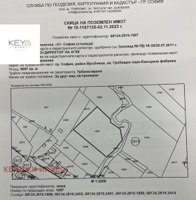 Kiralık Komplo