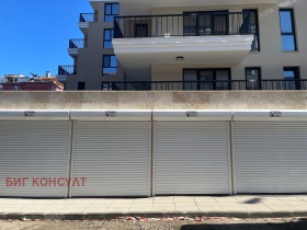 ������ ���� ��� ���� �����, ����������