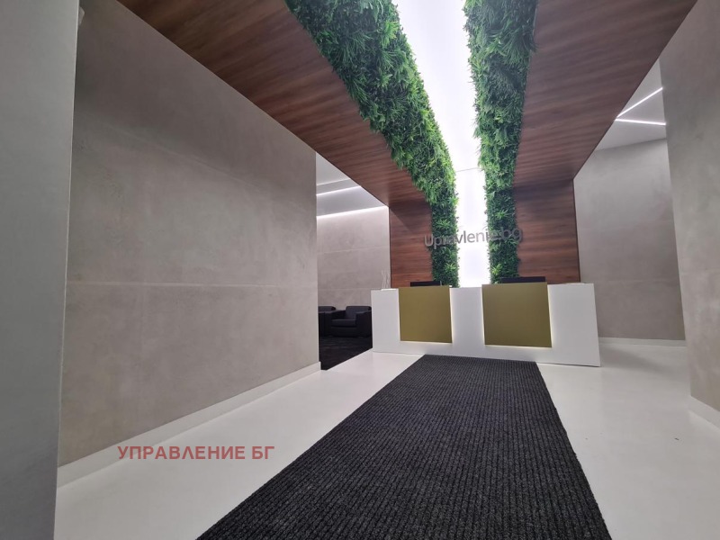 Do wynajęcia  Sklep Sofia , Borowo , 350 mkw | 59748206 - obraz [4]