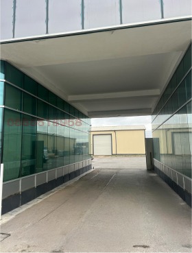 ����� ���� ��� ���� �����,���� �����, ������