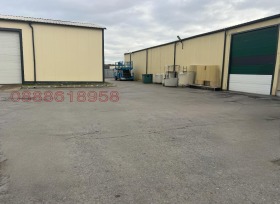 ����� ���� ��� ���� �����,���� �����, ������