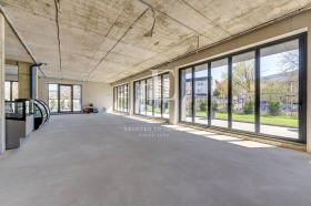 ������ ���� ��� ���� ���������