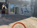 Под наем МАГАЗИН, град Плевен, Широк център • 220 € • 12813803 3