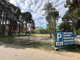 ������ ���� ��� ���� �����, ����������