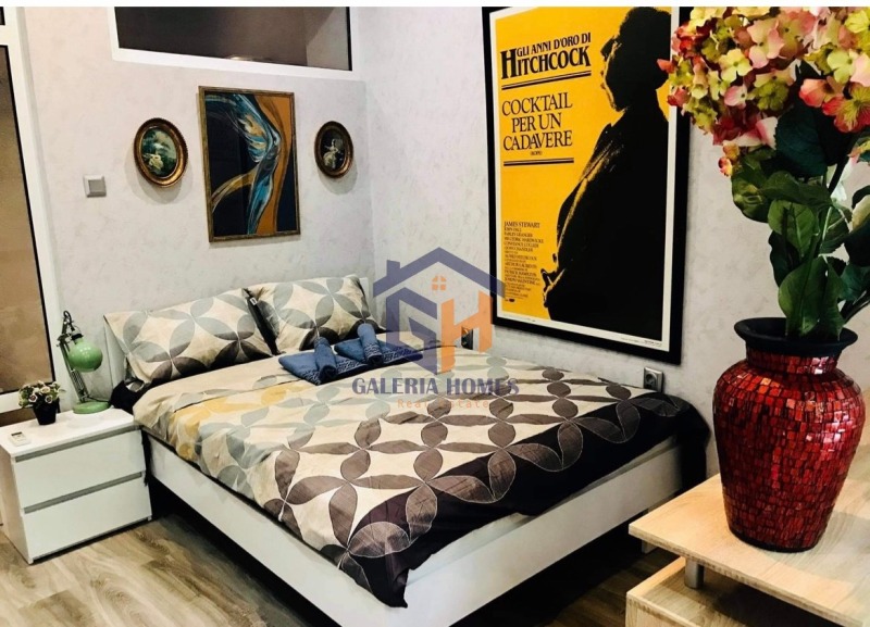 Издаје се  Студио Софија , Центар , 40 м2 | 62136659