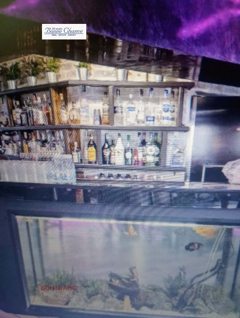 Til leie  Bar; Kaffebar Sofia , Krasno selo , 168 kvm | 48985150 - bilde [2]