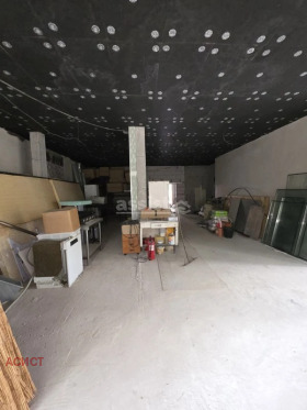 ����� ���� ��� ���� �����,���� �����, �������