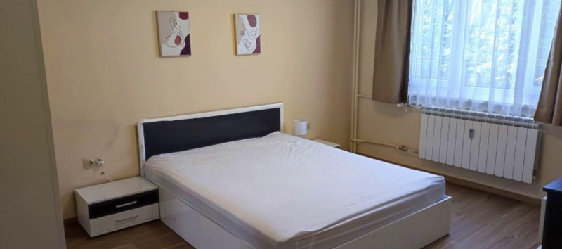 Kiralık  1 yatak odası Sofia , Centar , 80 metrekare | 56626213 - görüntü [5]