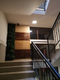 Под наем 2-СТАЕН, град София, Бъкстон • 600 € • 80669582 — Holmes.bg