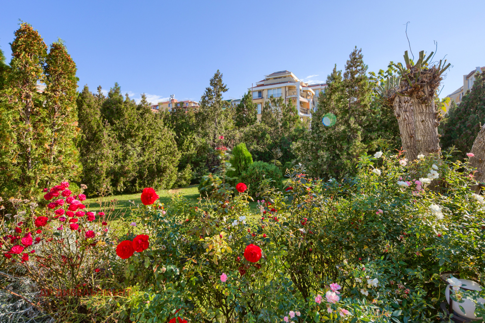 Дава под Наем 1-СТАЕН | Imot.bg — изображение 12