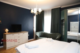 3+ ložnice Centar, Sofia 10