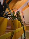 Под наем 1-СТАЕН, град София, Дианабад • 400 € • 81136186 13