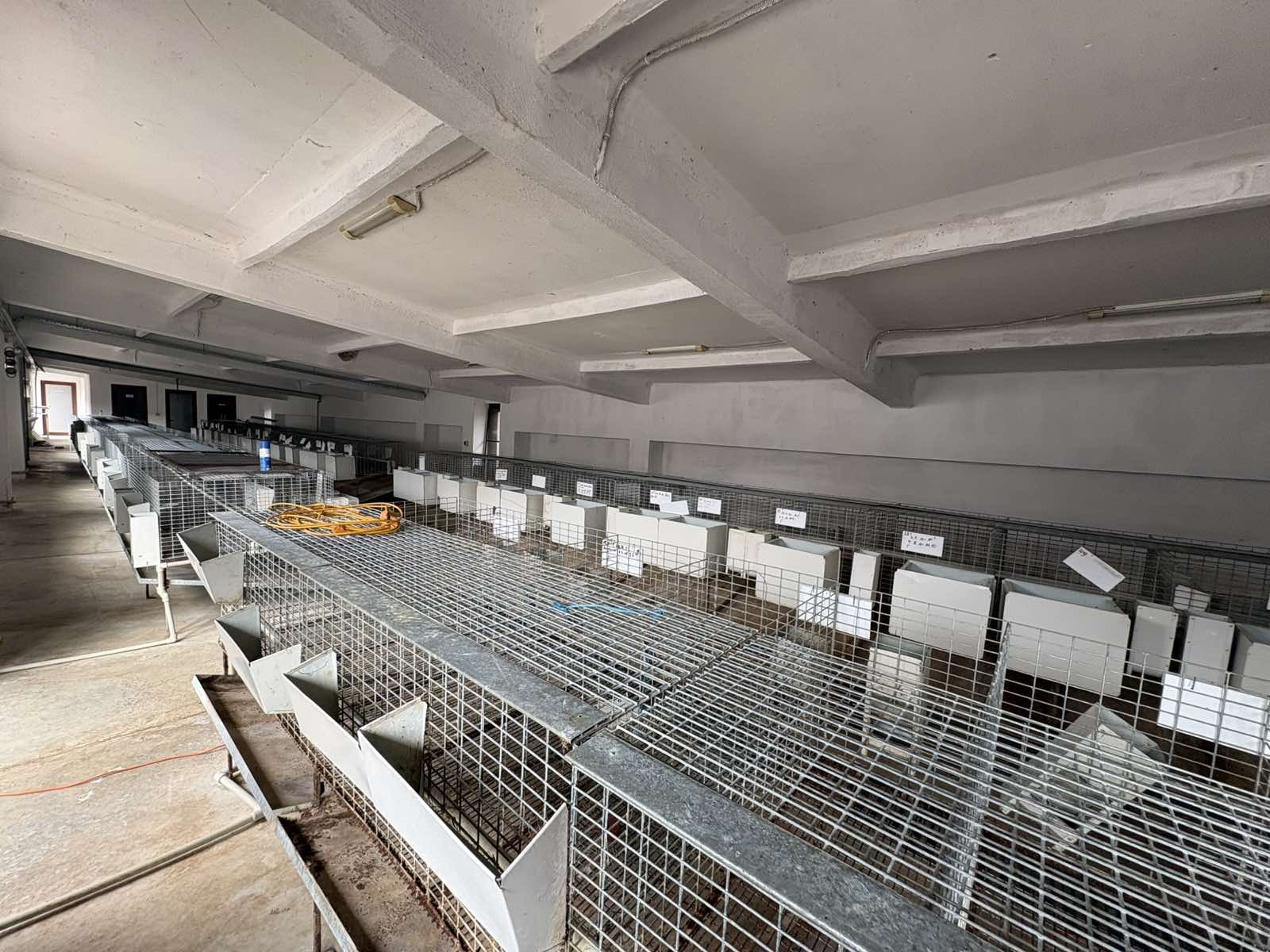 Дава под наем ПРОМ. ПОМЕЩЕНИЕ, с. Долище, област Варна, снимка 7 - Производствени сгради - 54476926