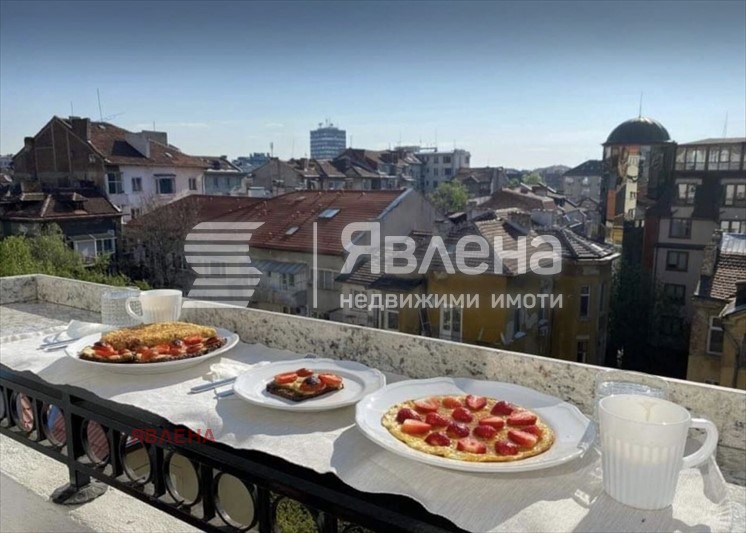 Дава под наем 2-СТАЕН, гр. София, Център, снимка 16 - Апартаменти - 53662157