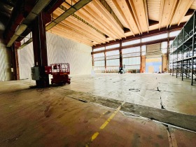 ������ ���� ��� ���� �����