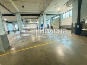 ������ ���� ��� ���� �����