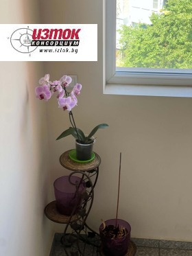 ���� ��� ���� 1-����� | Imot.bg � ����� ������ 11