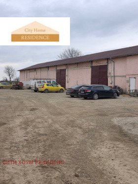 ����� ���� ��� ���� �����,��. ���� �����, ������ �����