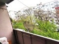 Под наем 2-СТАЕН, град Варна, Левски 1 • 425 € • 60446560 — Holmes.bg
