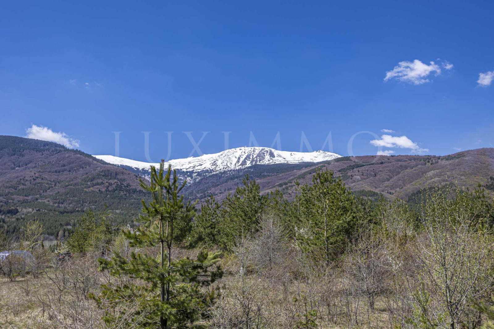 ���� ��� ���� ���� | Imot.bg � ����������� 17