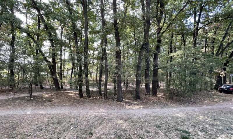 Do wynajęcia  1 sypialnia Sofia , Lozenec , 59 mkw | 60084243 - obraz [16]