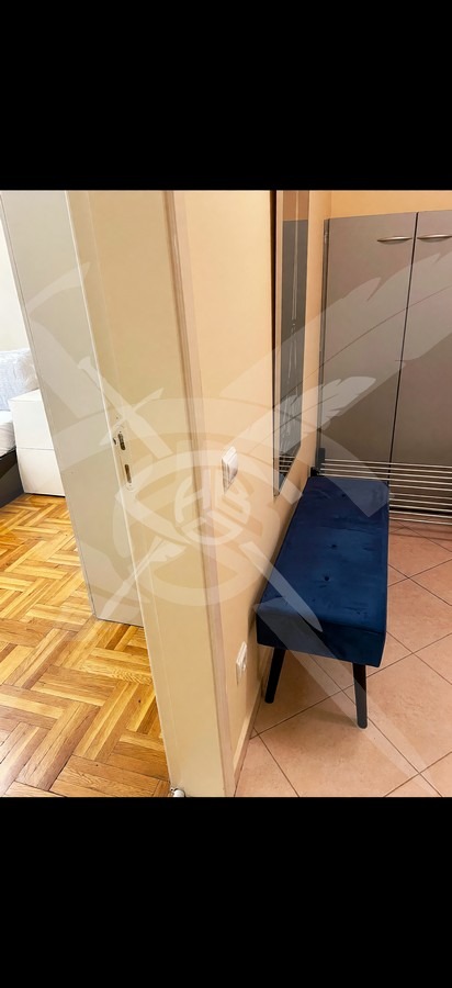 Дава под наем 2-СТАЕН, гр. София, Лозенец, снимка 10 - Апартаменти - 56200691