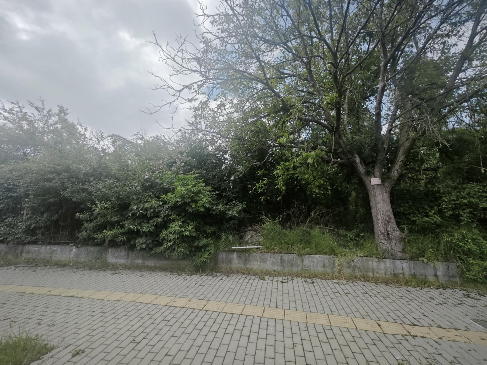 Дава под наем МЯСТО, гр. София, Военна рампа, снимка 5 - Парцели - 54603249