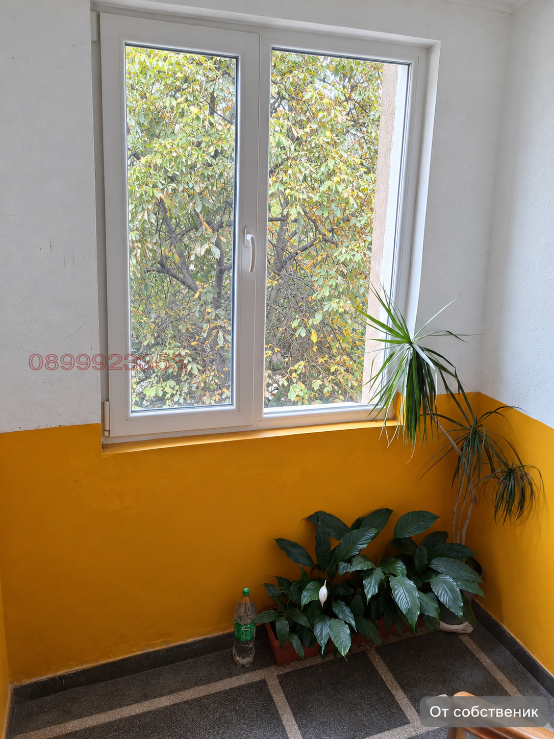 ���� ��� ���� 2-����� | Imot.bg � ����������� 12
