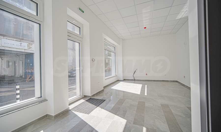 Дава под наем КЪЩА, гр. София, Център, снимка 4 - Къщи - 54137321