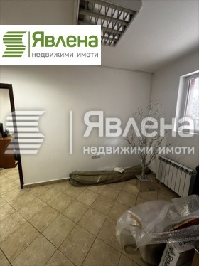 Biuro Borowo, Sofia 4