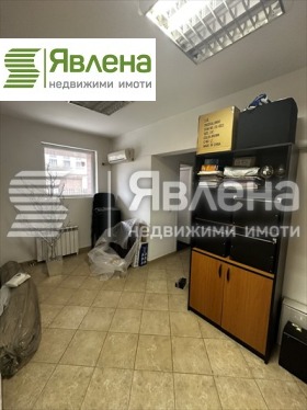 Biuro Borowo, Sofia 5