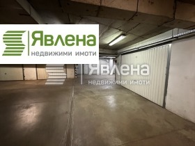 Biuro Borowo, Sofia 8
