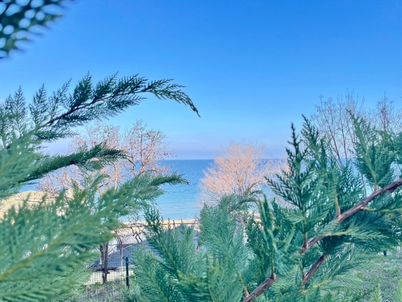 De inchiriat  Studio Varna , c.c. Ciaica , 30 mp | 87723599 - imagine [11]