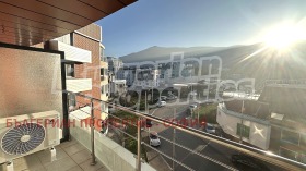 ����� ���� ��� ���� �������,���� �����, �������