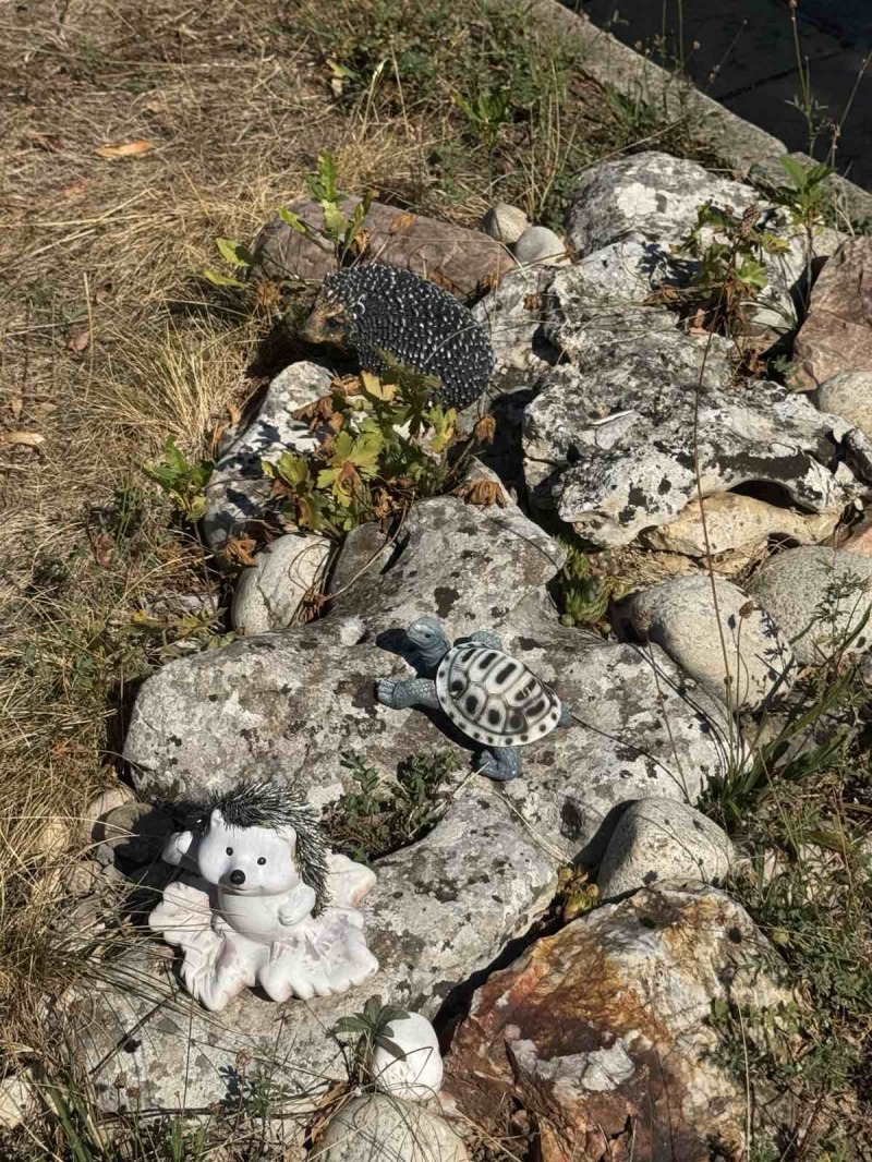 Do wynajęcia  Biuro Sofia , Drużba 1 , 80 mkw | 96651597 - obraz [2]
