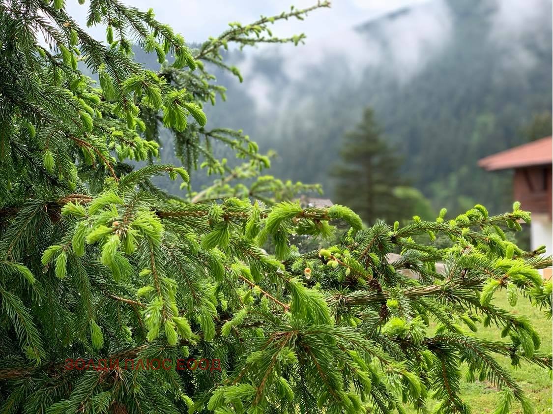 ���� ��� ���� 2-����� | Imot.bg � ����������� 14