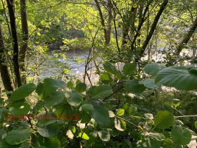 ���� ��� ���� 2-����� | Imot.bg � ����� ������ 16